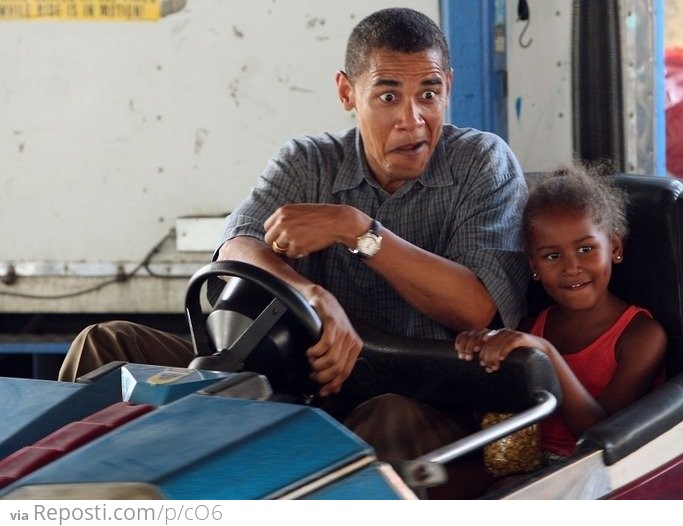 You're never too old to enjoy the bumper cars