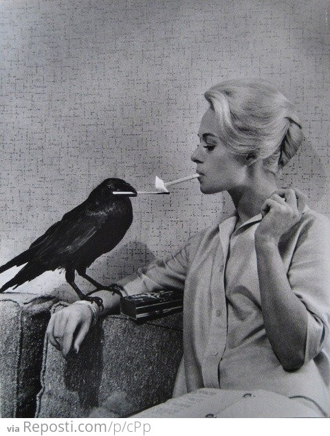 Woman getting a light from a crow