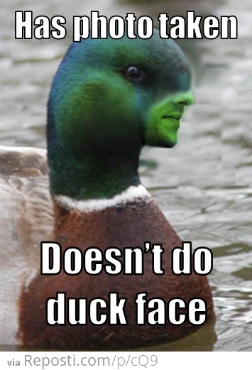 Good Guy Duck