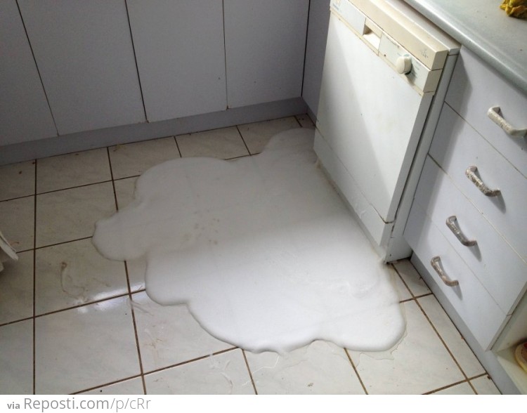 No one told me dishwashing liquid wasn't for the dishwasher.