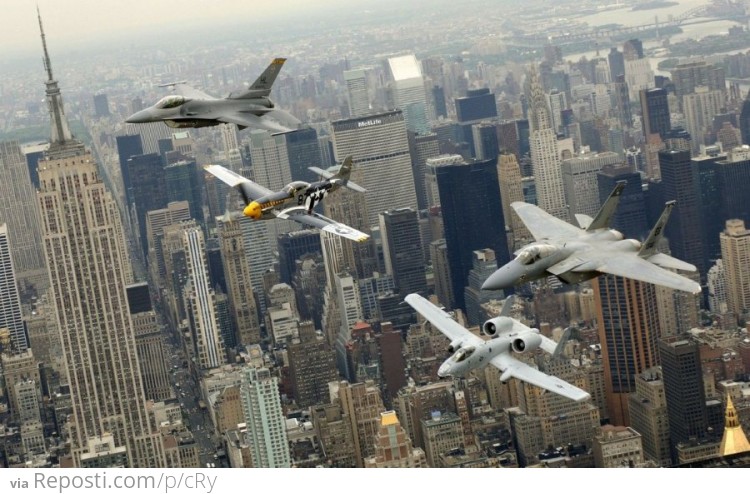 War Birds over New York