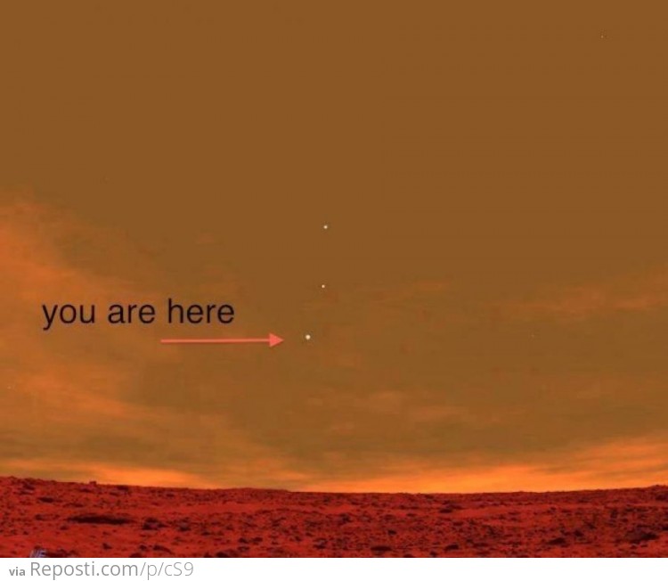 You are here