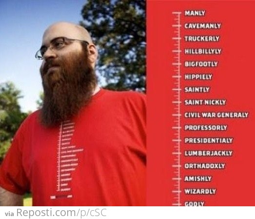 Rankings of 'the beard'