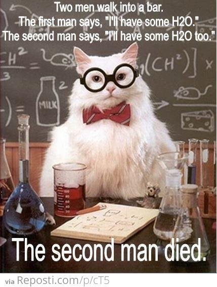 Science Cat