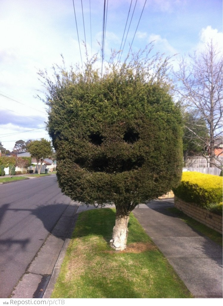 Happy tree is happy