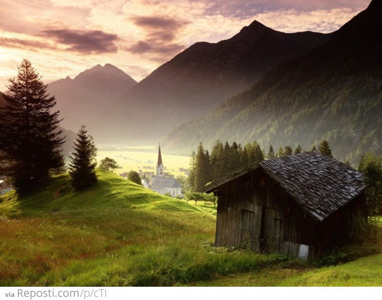 Misty Mountain Meadow