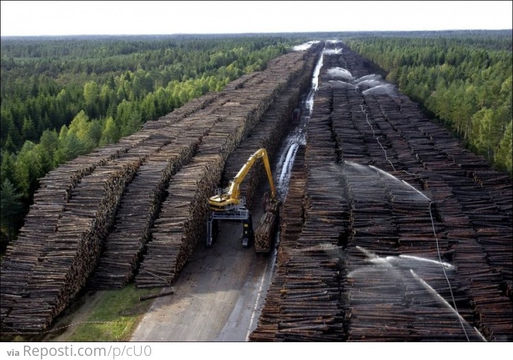 Worlds Largest Storage of Wood in Sweden