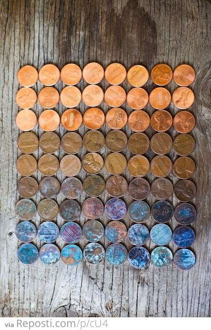 The life cycle of a penny