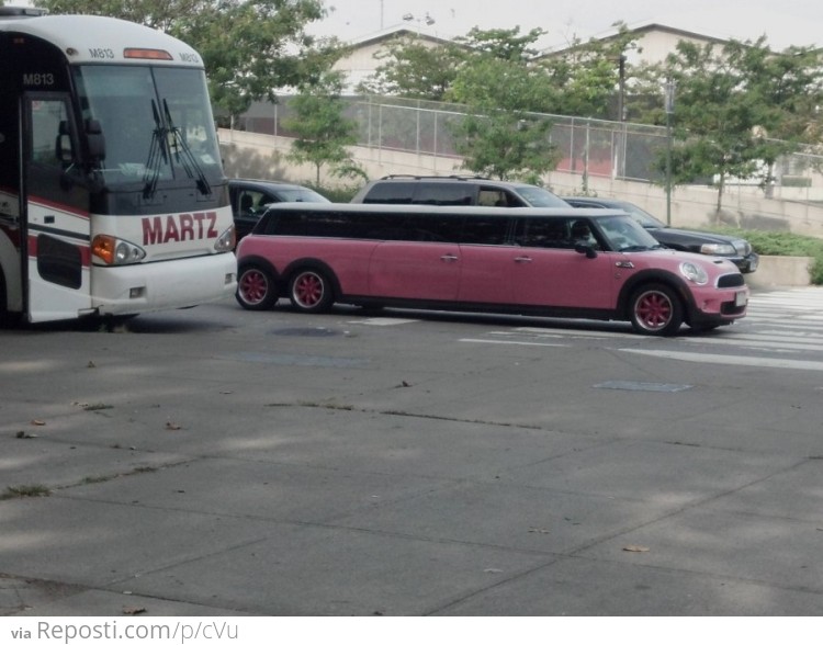 Mini Limo