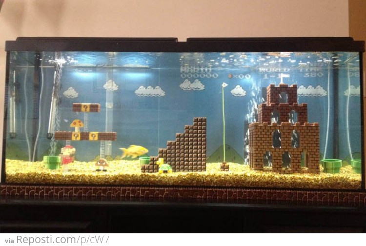 Mario Fish Tank