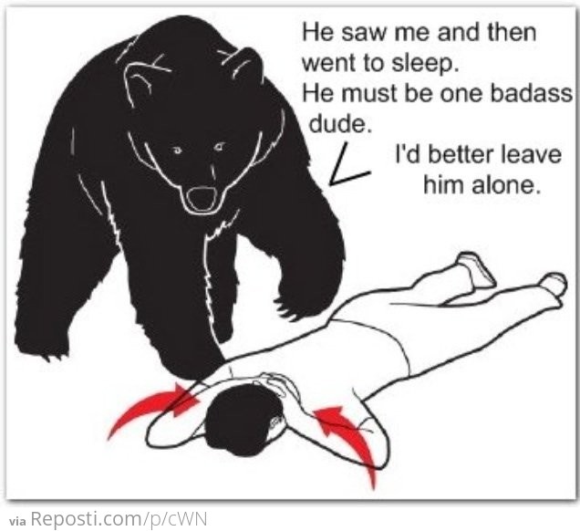 In case of bear