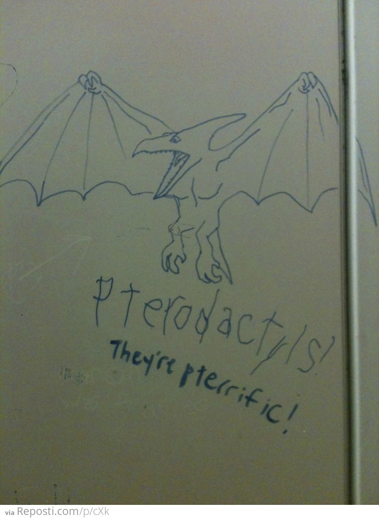 Pterodactyl's they're pterrific