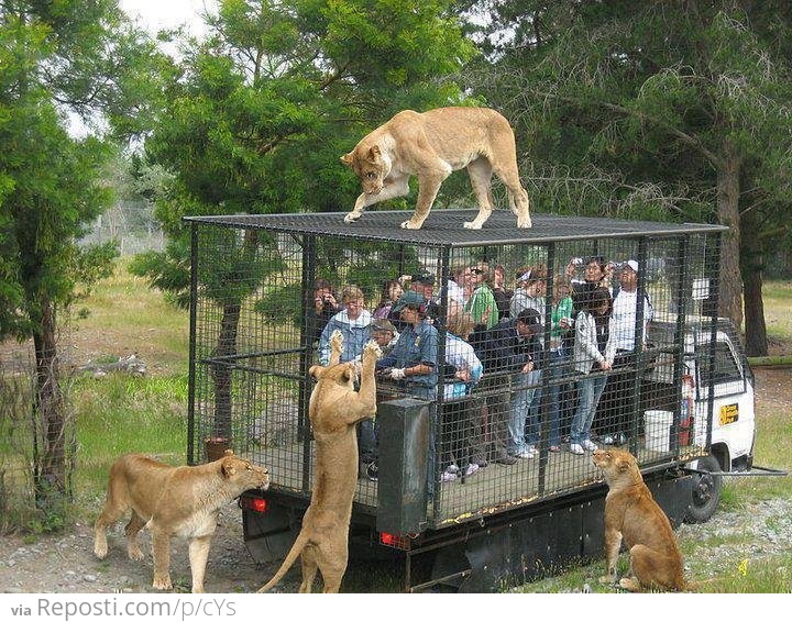 Zoo, the other side.......