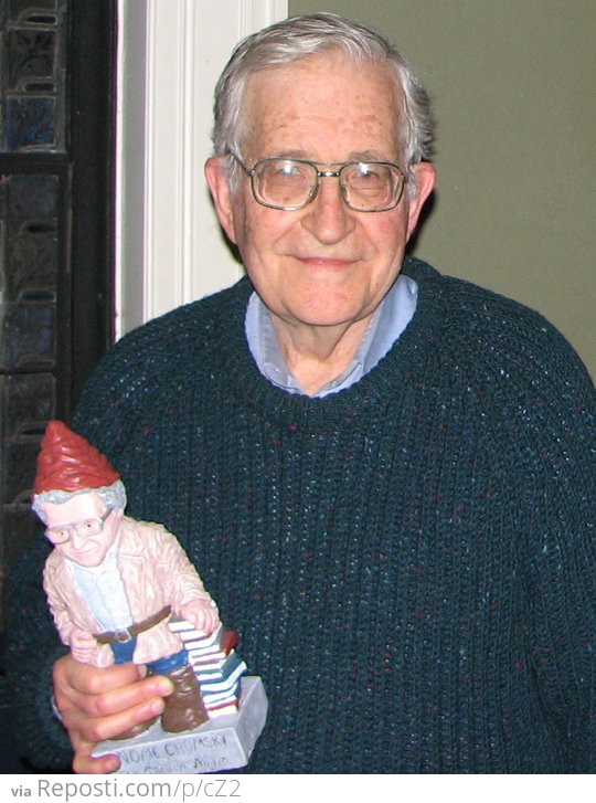 Noam Holding A Gnome