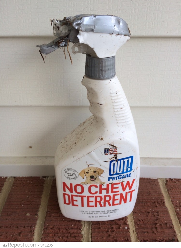 Pet Chew Deterrent Fail