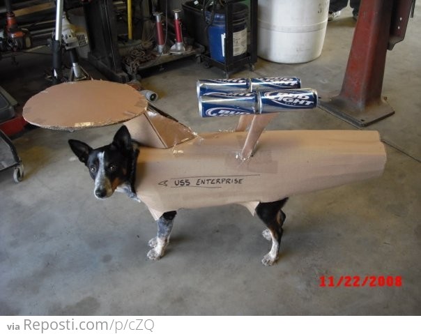 Enterprise Dog Costume