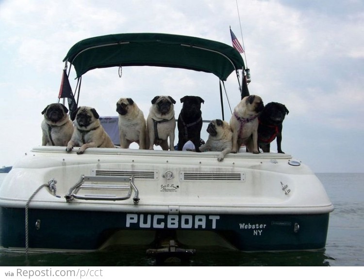 Pugboat