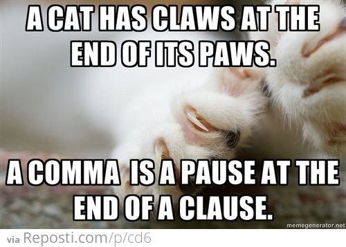 A Cat Has Claws