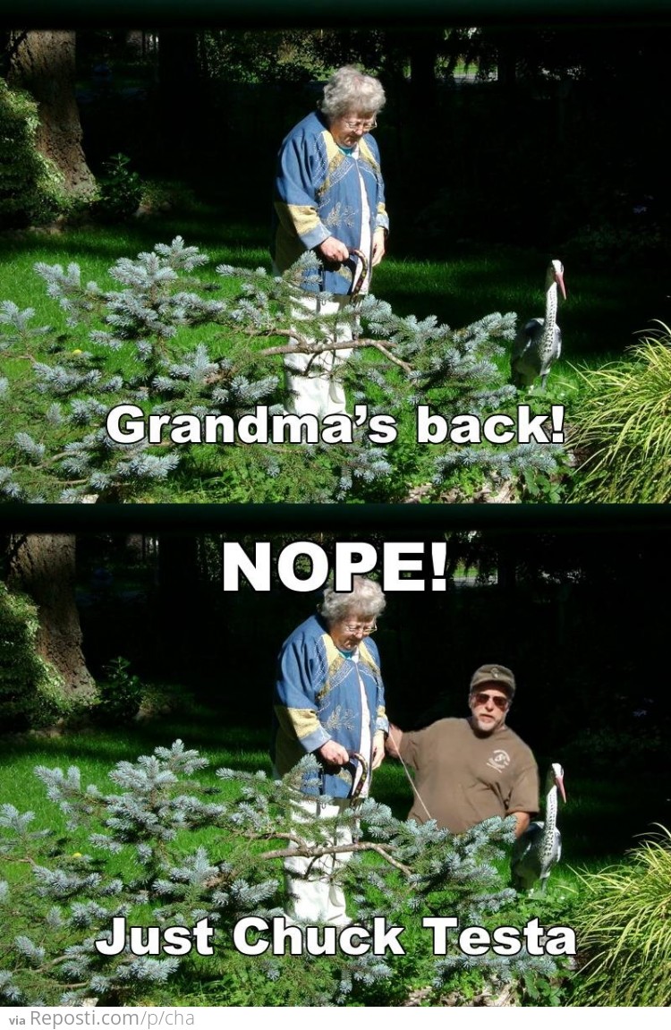 Grandma's Back!