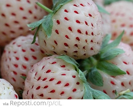 Reverse Strawberries