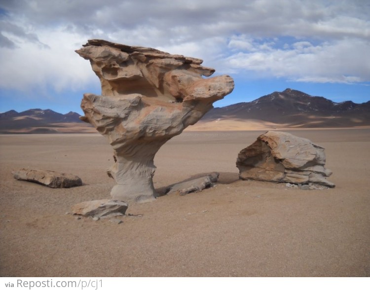 Wind Blown Desert Rocks