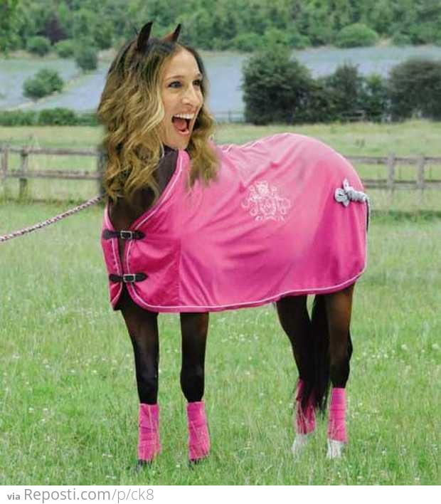 Конь в розовом пальто
