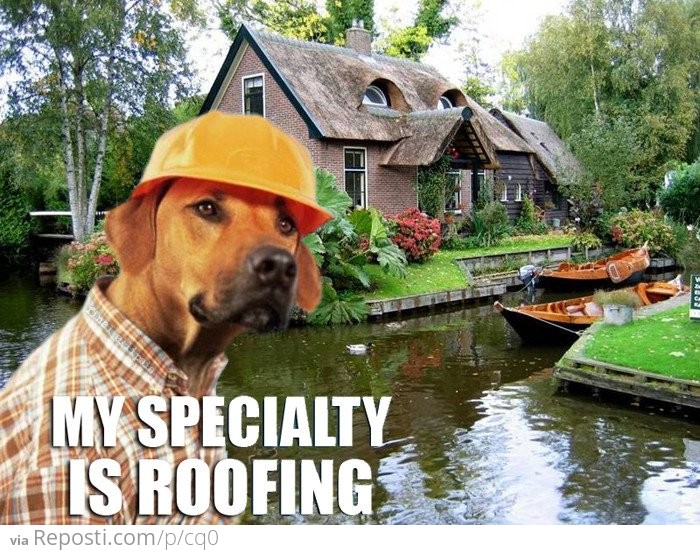 Roofing. 