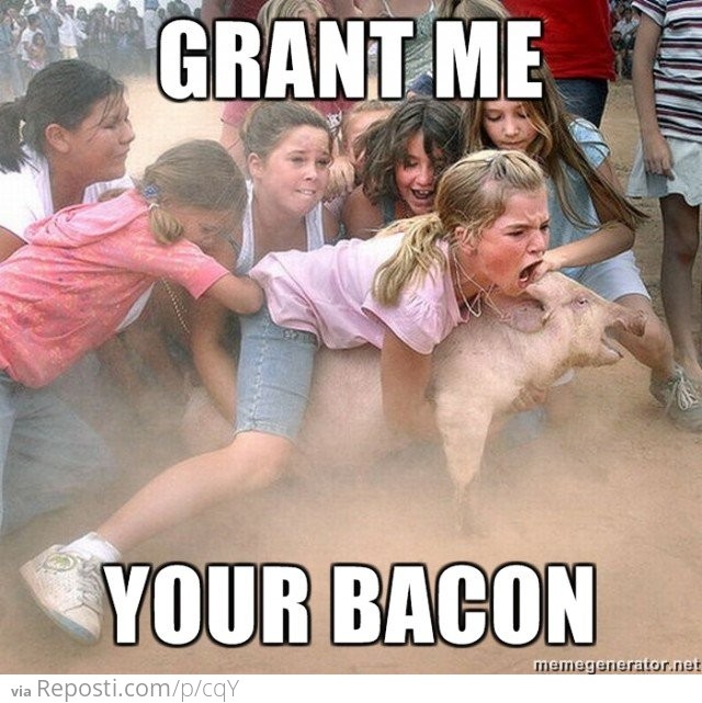 Grant Me Your Bacon!