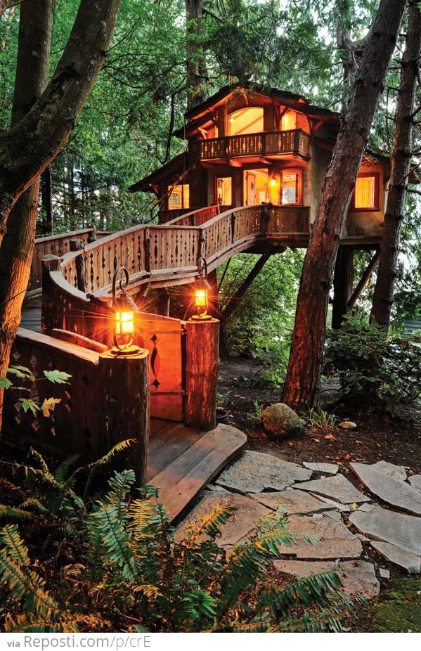 Amazing Tree House