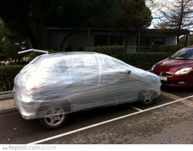 Wrapped Car