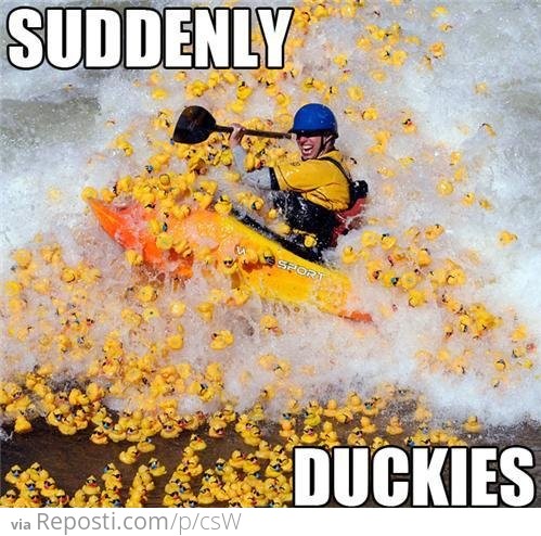 Suddenly Duckies