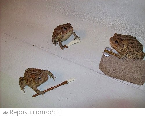 Battle Toads