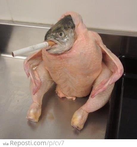 Fish In A Chicken Suit, Smoking A Cigarette