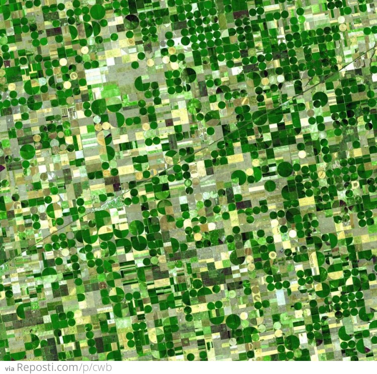 Kansas Farmland From Above