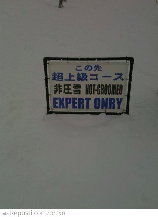 Expert Onry