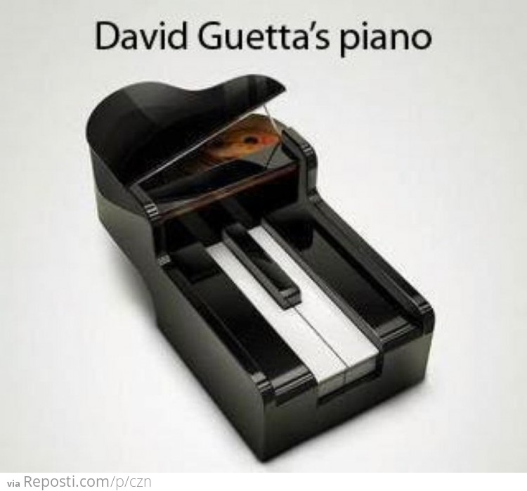 David Guetta's Piano