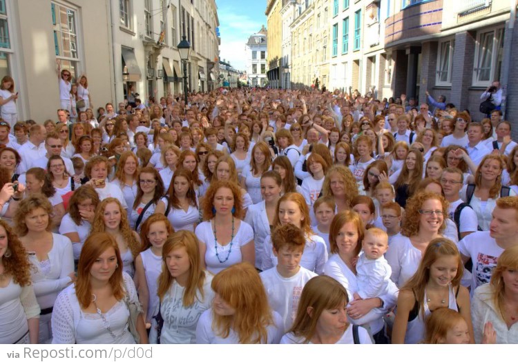 Redhead convention in the Netherlands