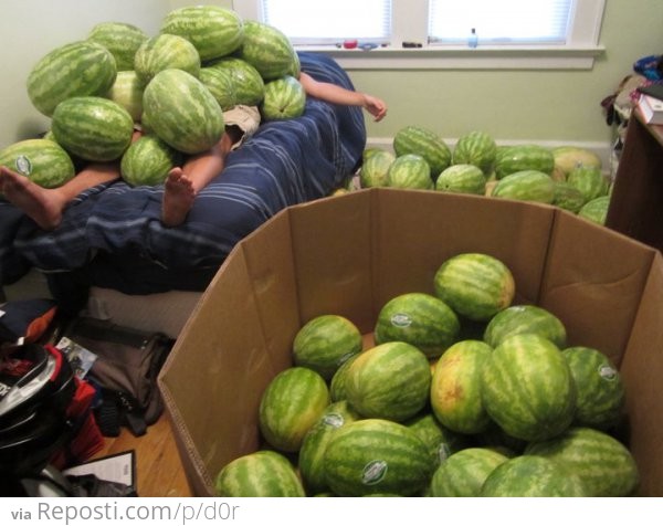 Watermelons