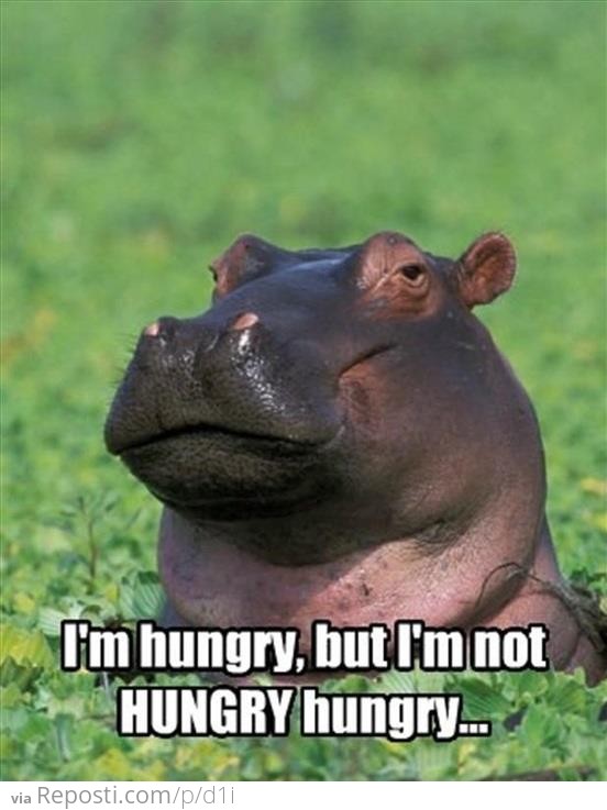 Adequately Hungry Hippo