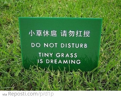 Do Not Disturb