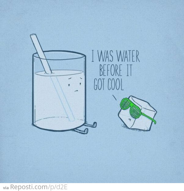 Hipster Icecube