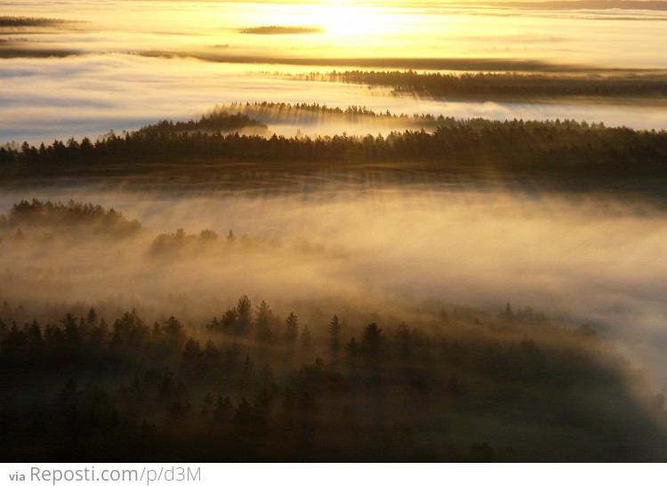 Labanoras Forest, Lithuania