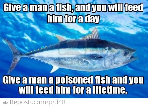 Give a man a fish