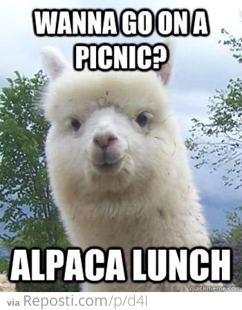 Wanna Go On A Picnic?