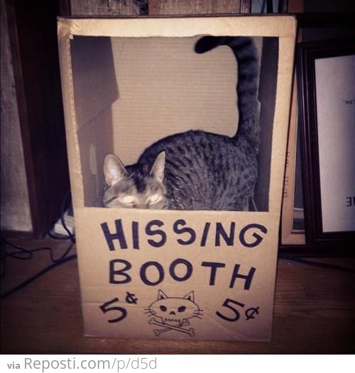 Hissing Booth