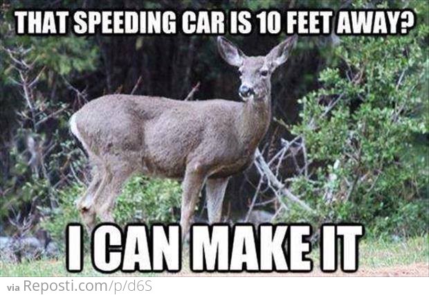 Deer Logic