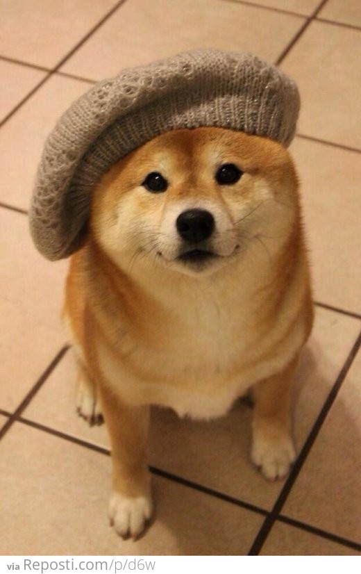 Much Stylish