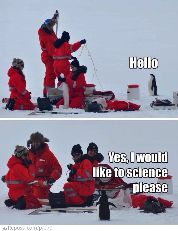 Science Penguin