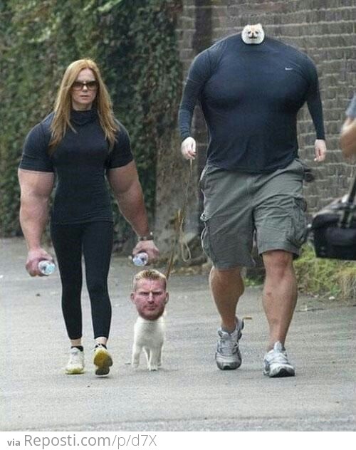 Face/Arm Swap