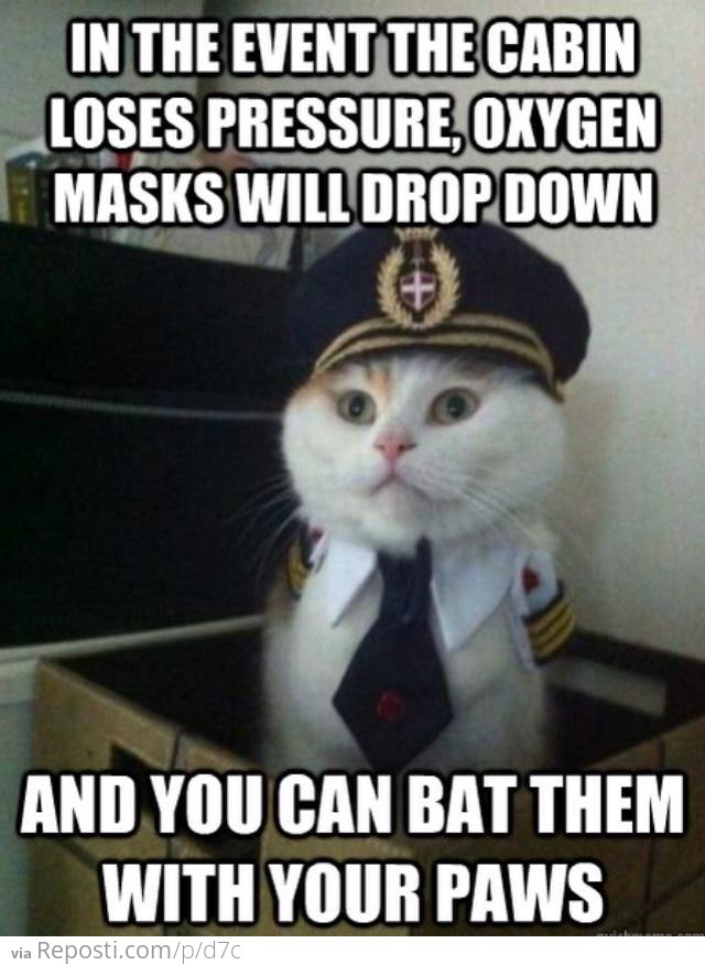 Captain Kitty's Safety Tips